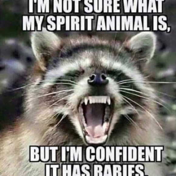 Meet your Posher, Jennifer - Picture 9 of 12